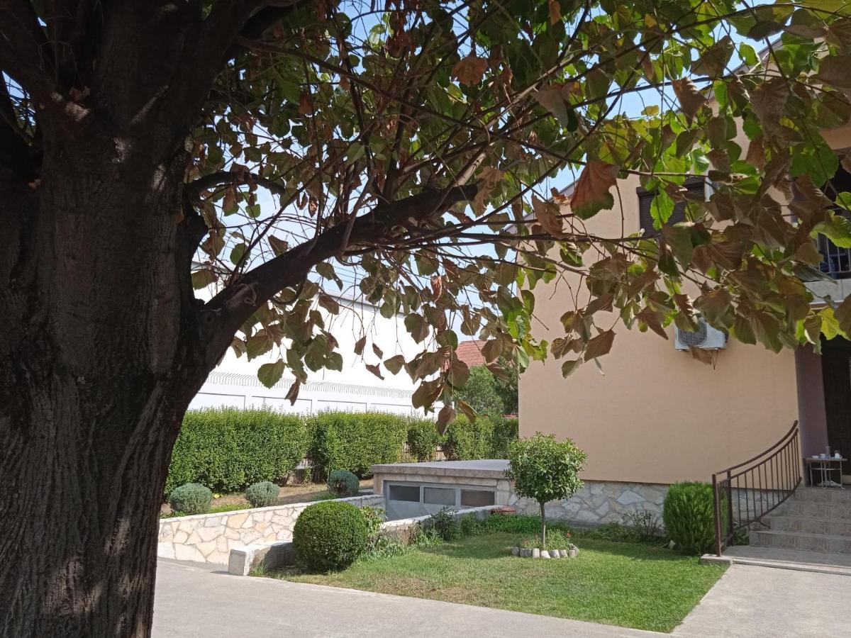 Hostel Vera - Airport Podgorica Mitrovici  Exteriör bild